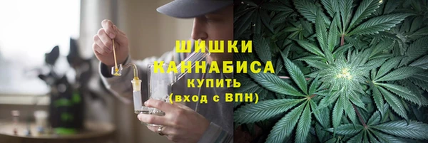 стаф Бородино