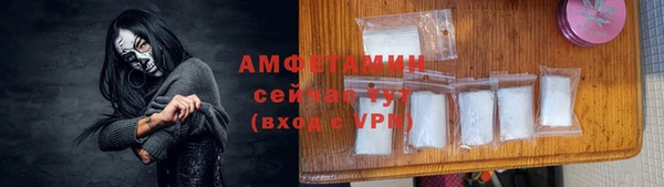 стаф Бородино