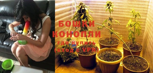 стаф Бородино