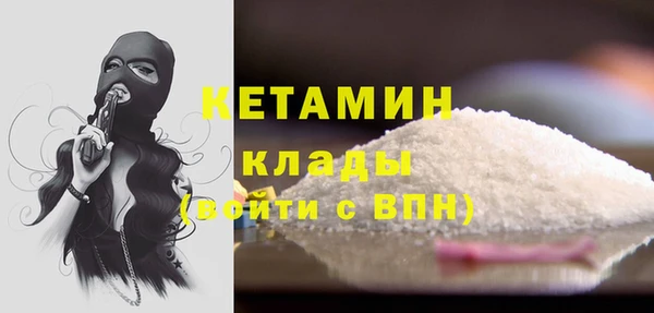 стаф Бородино