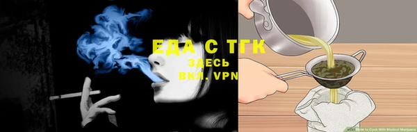 стаф Бородино