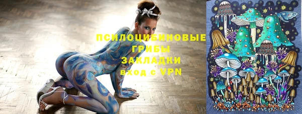 бошки Бугульма