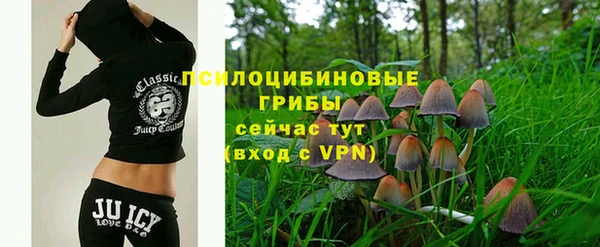 стаф Бородино