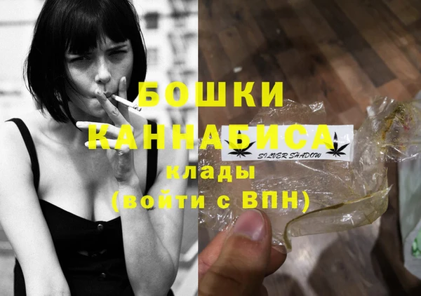 стаф Бородино