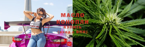 стаф Бородино