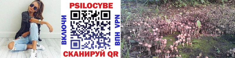 Псилоцибиновые грибы ЛСД Новокузнецк