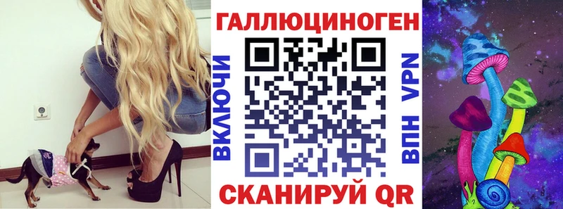 хочу Новокузнецк Галлюциногенные грибы GOLDEN TEACHER